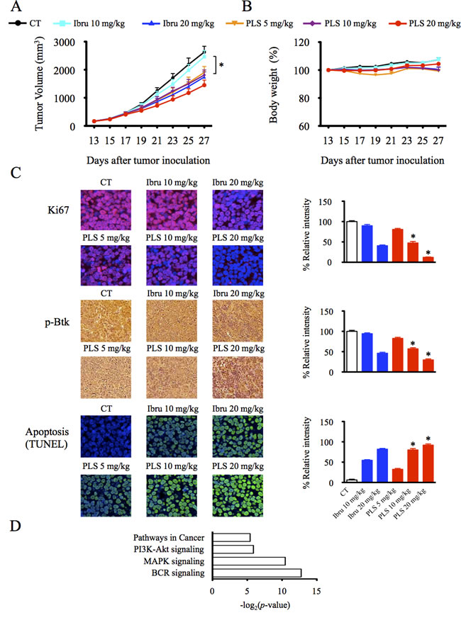 PLS-123 induces anti-tumor activities in B-cell lymphoma