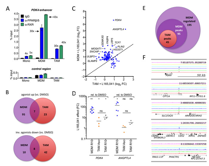 Deregulation of PPAR&#x3b2;/&#x3b4; target genes in cultured ovarian carcinoma TAMs.
