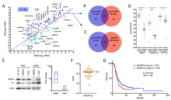 Deregulation of PPAR&#x3b2;/&#x3b4; target genes in ovarian carcinoma TAMs