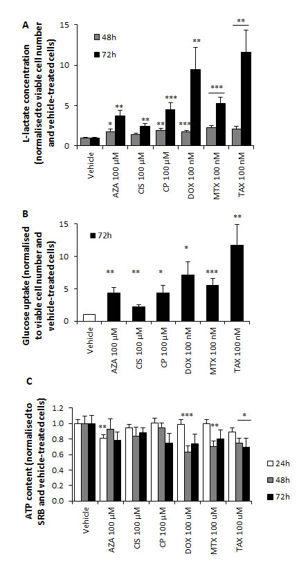 Chemotherapy increases L-lactate production and glucose consumption and reduces ATP content of hTERT-BJ1 fibroblasts.