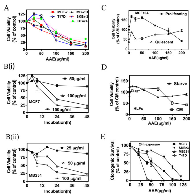 AAE inhibits BrCa cell viability and replication potential (colony-forming ability).