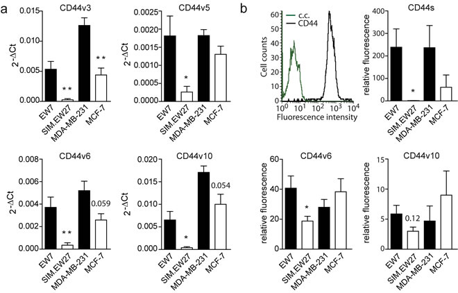 CD44 variant expression in Ewing sarcoma and breast carcinoma cell lines.