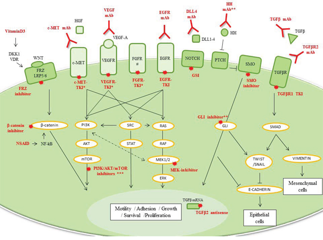 Mesenchymal TNBC.