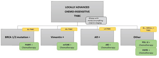 Flow chart of potent new TNBC clinical trial.