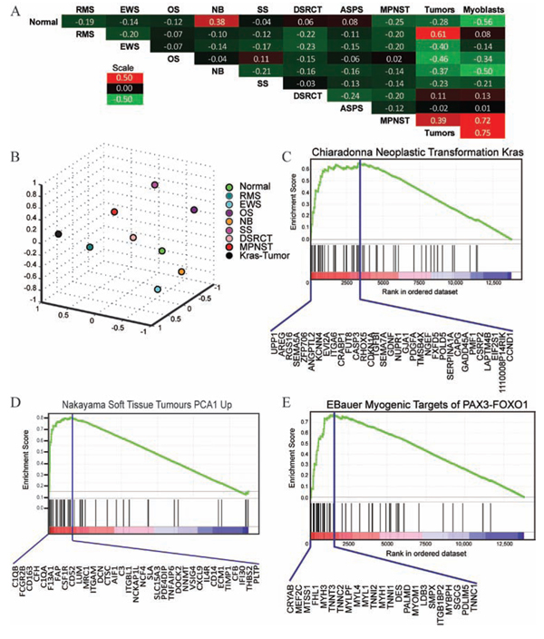 Metagene analysis and gene set enrichment analysis of mosaic mouse tumors.