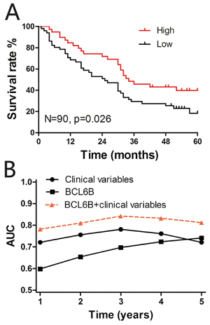 A. Kaplan-Meier curves depicting overall survival according to the BCL6B expression pattern in the tissue microarray (TMA) cohort (n = 90).