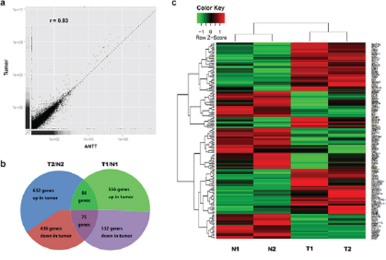 Schematic view of DEGs in GBC detected by RNA-Seq.