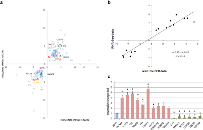 Validation of DEGs in other 35 paired tissue samples.