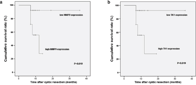 Survival rates of GBC patients who underwent cystic resection were compared between the high and low expression of MMP9 a. and TK1 b. The median expression level was used as the cutoff.
