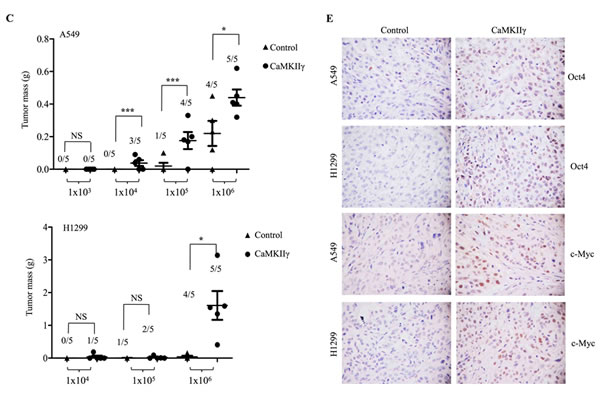 fig3b