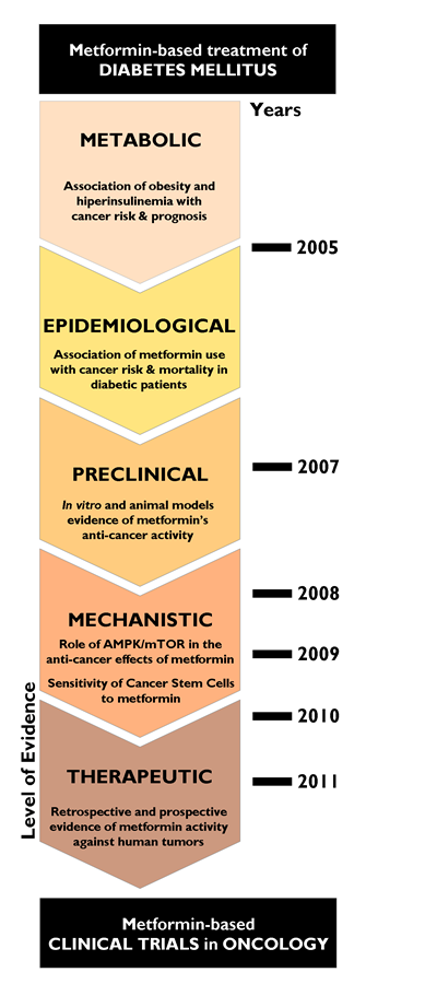 Metformin and cancer: From phenomenology to molecular understanding in less than a decade.