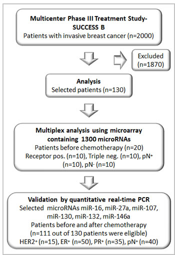 Consort diagram showing the number of patients analyzed from the multicenter study (SUCCESS B).
