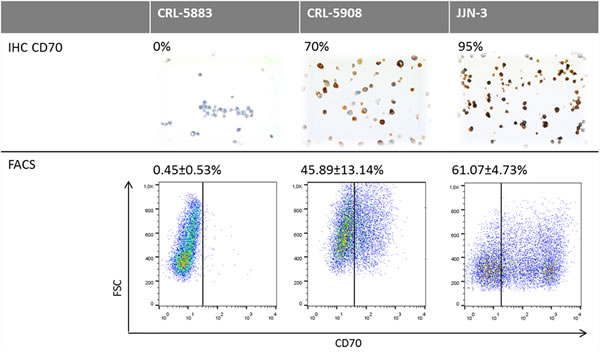 Comparative analysis of CD70 protein expression measured by flow cytometry and IHC.