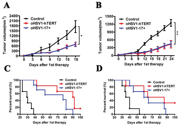 Therapeutic effect of oHSV1-hTERT in vivo.