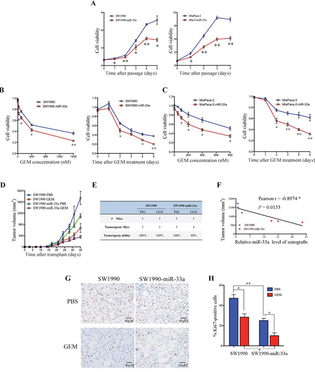 Overexpression of miR-33a increases the chemosensitivity of human pancreatic cancer cells to gemcitabine both in vitro and in vivo.