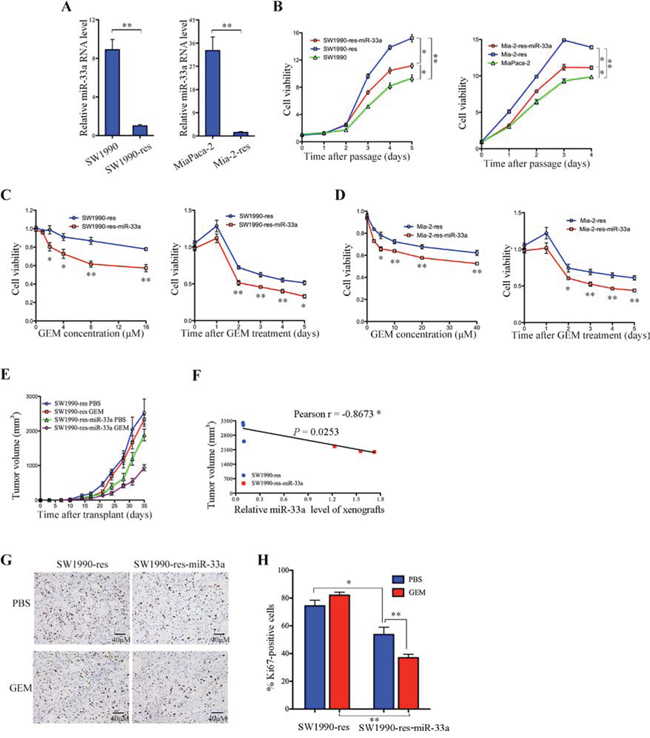 Overexpression of miR-33a reverses the chemoresistance of pancreatic cancer cells to gemcitabine both in vitro and in vivo.