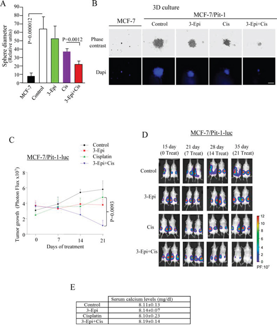 3-Epi potentiates cisplatin to reduced tumor growth.