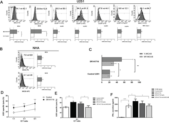 Phenotypic and functional significance of the upregulated expression of MICA/B on glioma cells treated with SR141716.