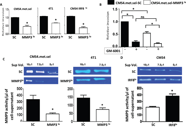 Tumor-derived MMP3 modulates invasive capacity and MMP9 activity in vitro.