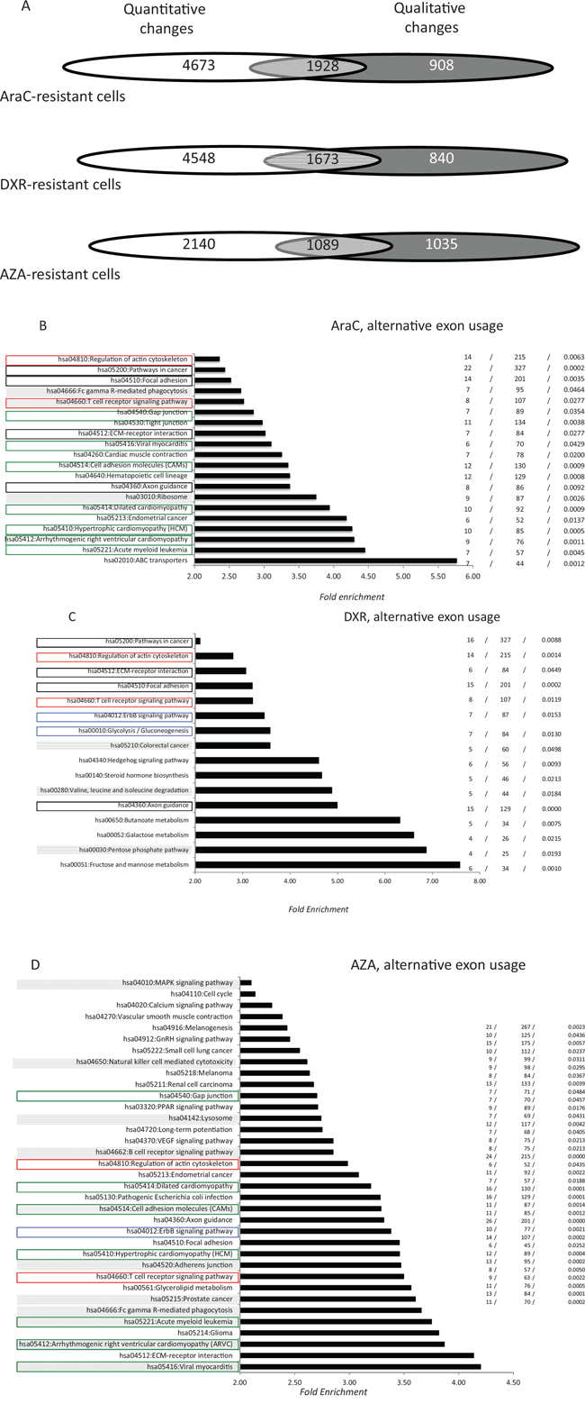 Distribution of alternative exon usages in AML cells that are resistant to anti-cancer drugs.