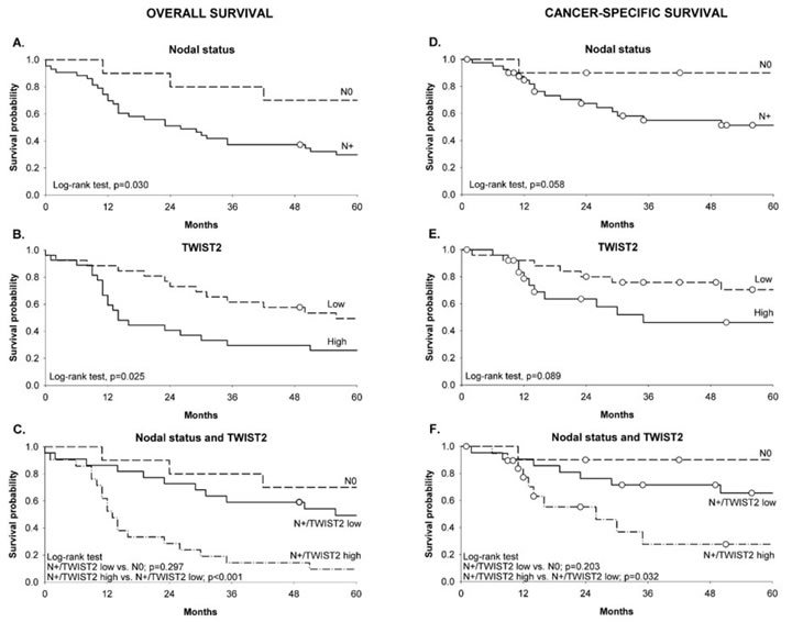 Kaplan-Meier estimates of overall survival (left panel) and cancer-specific survival (right panel) in oral cavity/pharynx cancer patients according to nodal status (A, D), TWIST2 expression (B, E) and combined nodal status and TWIST2 expression (C, F).