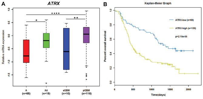 ATRX mRNA expression correlated with tumor grade and survival in astrocytic tumors.