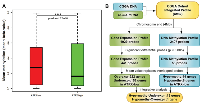 Strategy to identify significant genes of both DNA methylation and gene expression profiles.