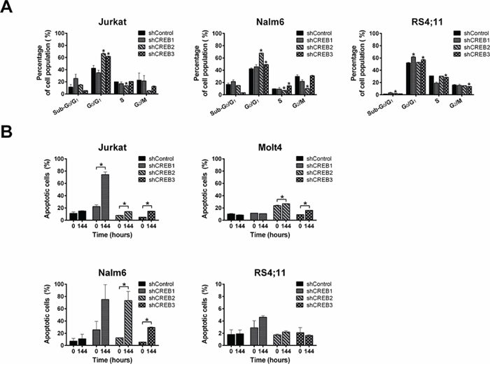 CREB downregulation induces cell cycle arrest and apoptosis.