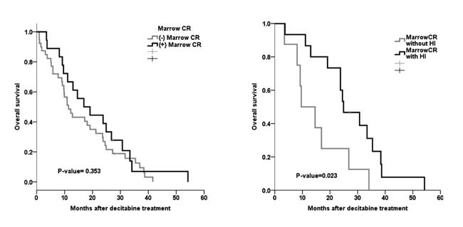 m-CR and OS in patients with BM blasts &gt;5%.