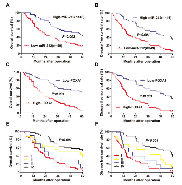 The prognostic value of miR-212 and FOXA1 for HCC patients assessed by Kaplen-Merier analysis.