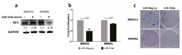 Figure 4: