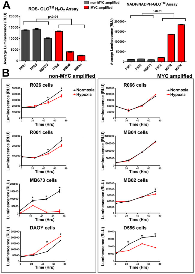 MYC-amplified tumor cells have significantly altered metabolic activity compared to the rest of Group 3 MB cells (non-MYC amplified).