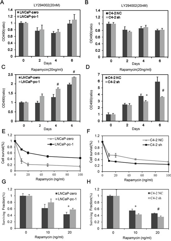 PC-1 expression confers LNCaP and C4-2 cell resistance to rapamycin but not LY294002.