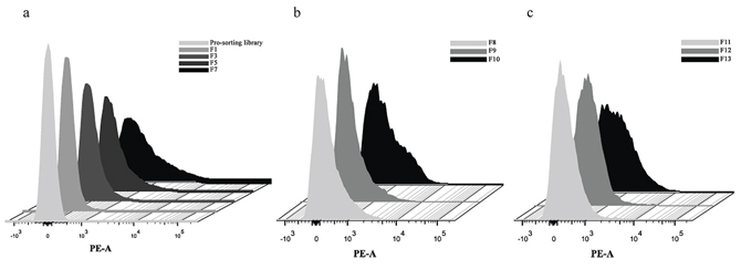 HGF binding peptides were enriched by bacteria surface display coupled with FACS.