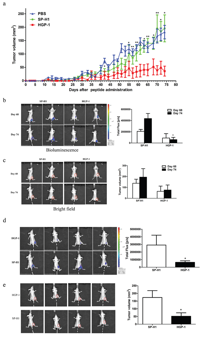 HGP-1 inhibited tumor growth in vivo.