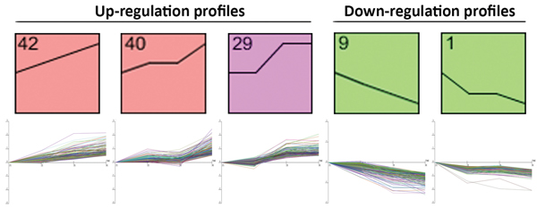 Panel representing the Short Time-series Expression Miner (STEM) analysis profiles, which were used to cluster and analyze the expression data.