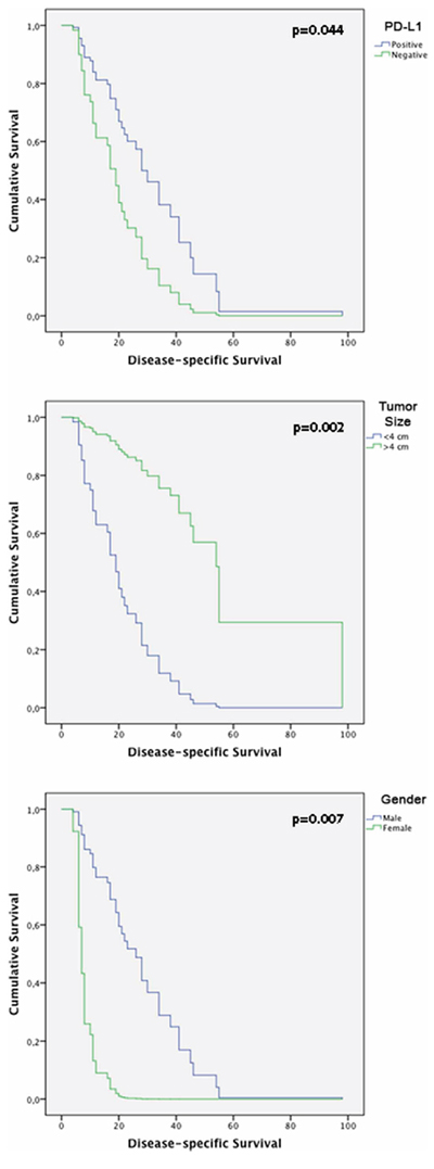 Kaplan-Meier tables obtained from multivariate analysis according to time until death from HNSCC, showing CD274, gender and tumor size effect on disease-specific survival.