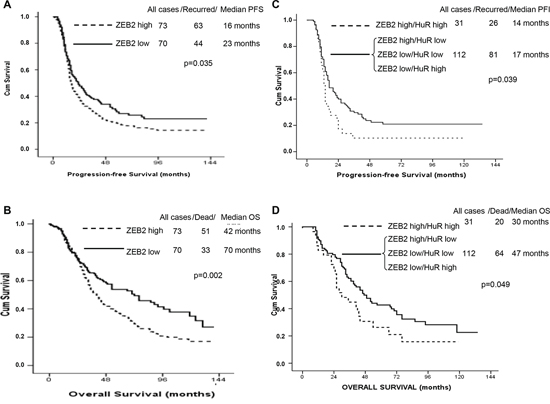 ZEB2 expression levels analysis in ovarian cancers and prognosis correlation.