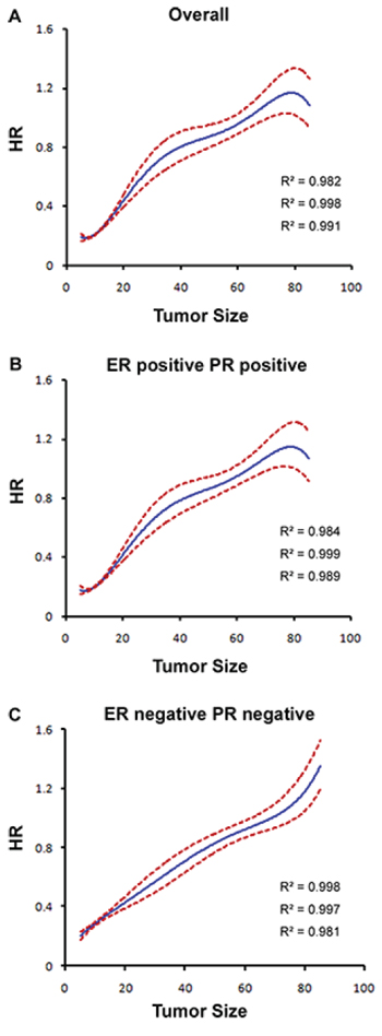 Estimates of hazard ratios (HRs) of breast cancer-specific mortality based on tumor size for different ER/PR status groups using quantic polynomial regression.