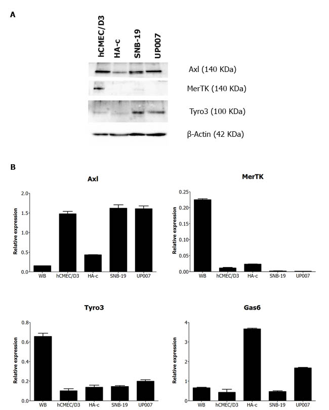 Figure 1: