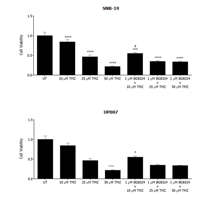 Effect of BGB324 on GBM cell growth in combination with Temozolomide (TMZ).