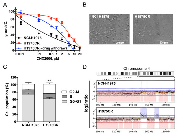 NCI-H1975-derived CNX-2006-resistant cells.