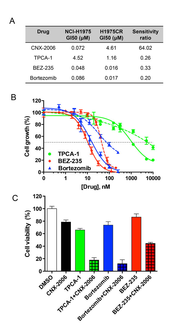 Targeting NF-&#x3ba;B pathway.