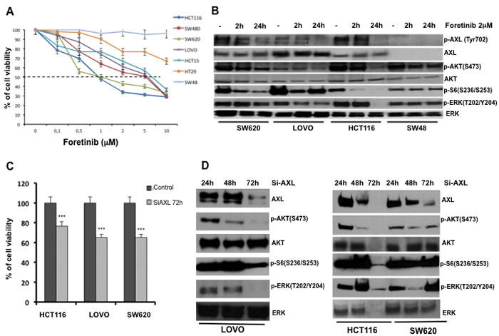 Effects of AXL blockade on CRC cancer cell proliferation and survival.