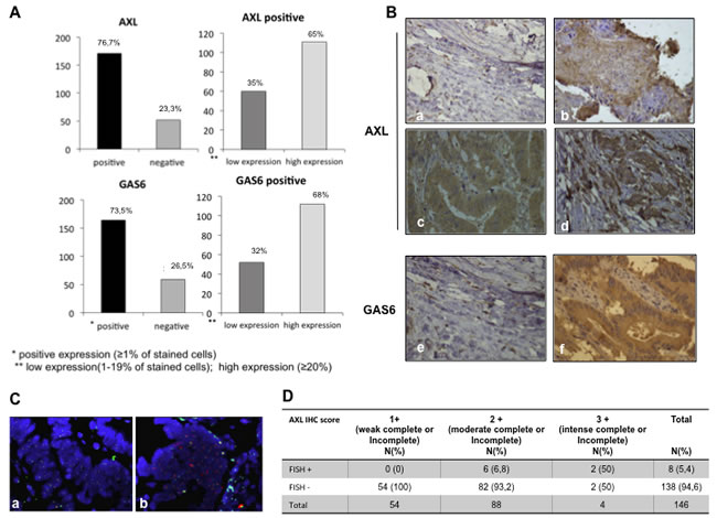 Expression of AXL and GAS6 proteins in human colorectal cancer.