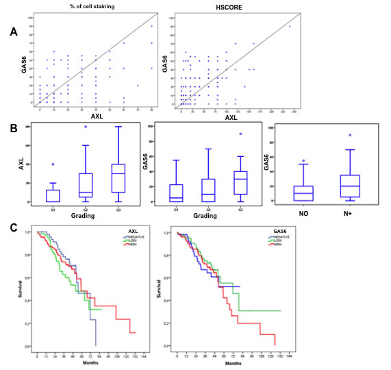 AXL and GAS6 clinicopathological features correlation and prognostic relevance.