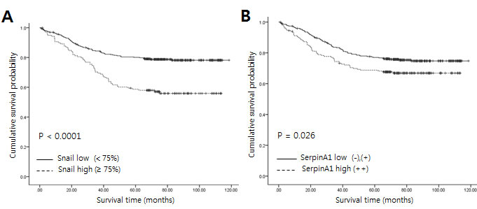 Relationship between expression of Snail or serpinA1 and clinical outcomes in patients with CRC.