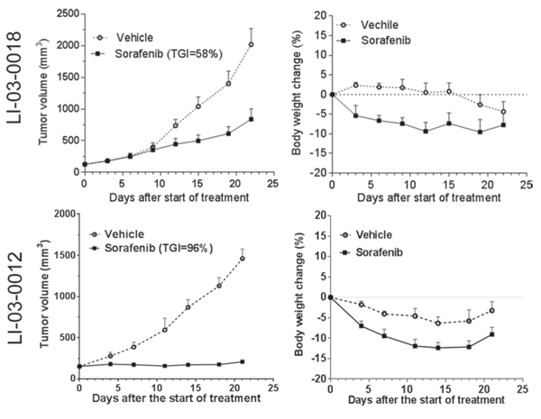 The effect of standard-of-care compound sorafenib was evaluated in two HCC models (LI-03-0018 at P6; LI-03-0012 at P5).