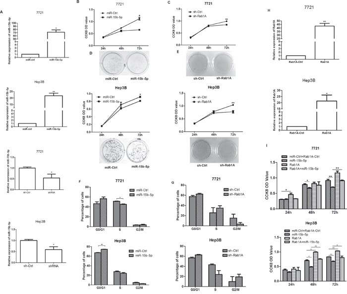 miR-15b-5p suppressed HCC cell growth by targeting and suppressing Rab1A.