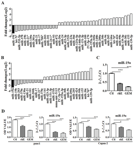 MiR-19a expression was altered significantly by both rh-endostatin and Gemcitabine.